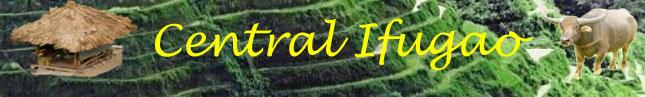 newBanners003 copy.jpg